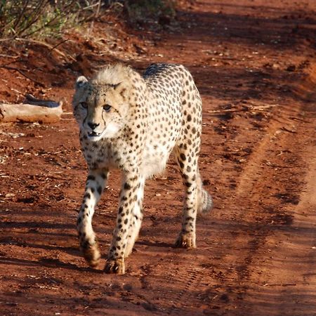 Kgorogoro Lodge Pilanesberg Kültér fotó