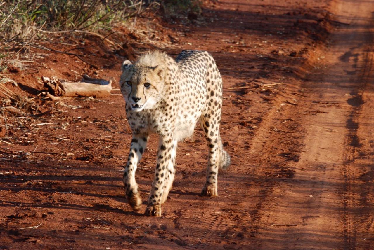 Kgorogoro Lodge Pilanesberg Kültér fotó