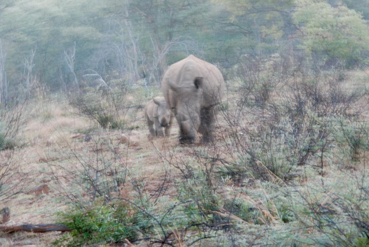 Kgorogoro Lodge Pilanesberg Kültér fotó