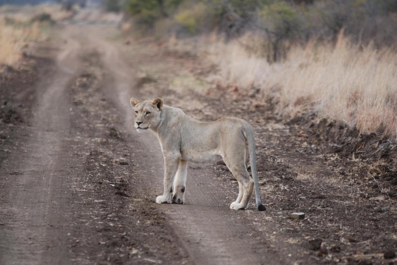 Kgorogoro Lodge Pilanesberg Kültér fotó